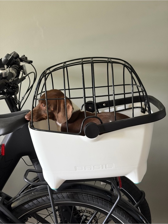 electra Other - White Pet Carrier Basket with Black Cage